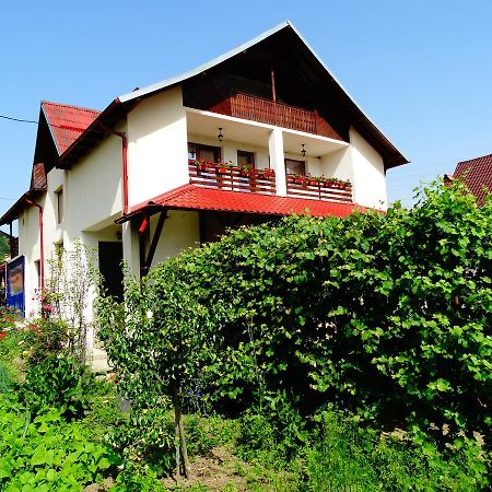 Pensiunea Casa Elena Corbeni Exterior foto